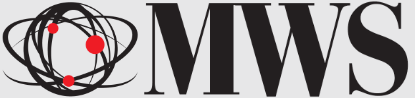 Management Worldwide Solutions